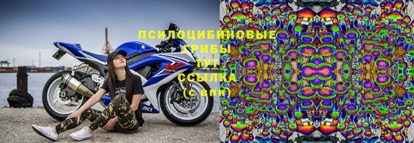 mdpv Арсеньев
