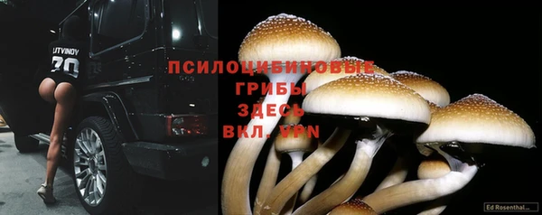 ГАЛЛЮЦИНОГЕННЫЕ ГРИБЫ Армянск