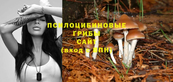 ГАЛЛЮЦИНОГЕННЫЕ ГРИБЫ Армянск