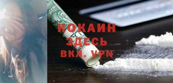 ГАЛЛЮЦИНОГЕННЫЕ ГРИБЫ Армянск
